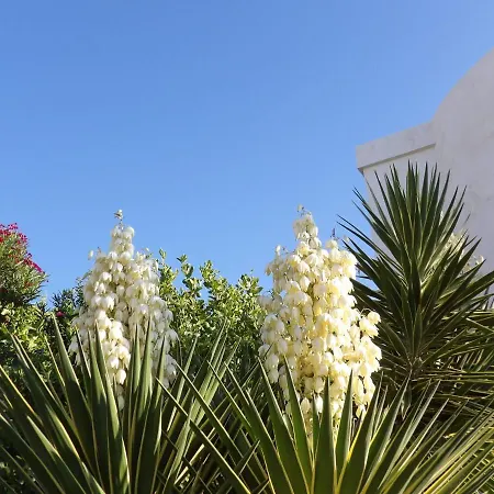 Bed & Breakfast Lou Bastidoun Mandelieu-la-Napoule